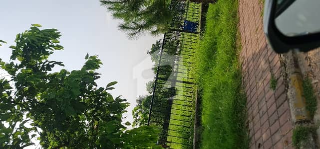 11 Marla Plot Back Open Naear To Park Foar Sale