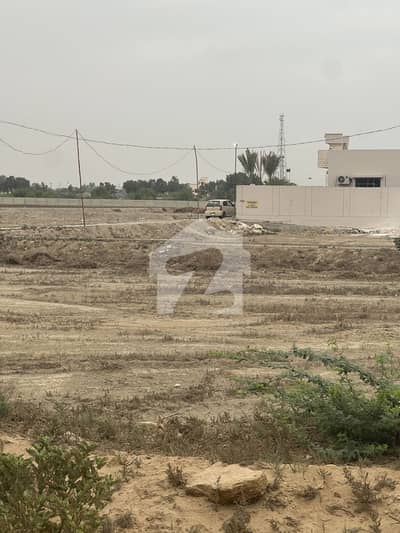 Transfer And Leased Plot Transfer And Leased Plot