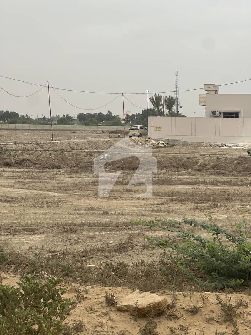 Transfer And Leased Plot Transfer And Leased Plot