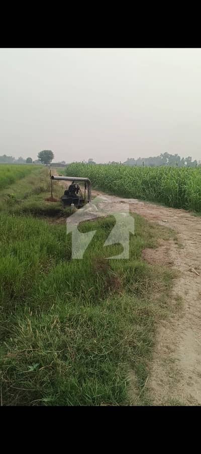 40 Kanals Agricultural Land And Dary Farm Land For Sale Mozza Jahman