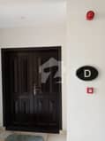 24 24