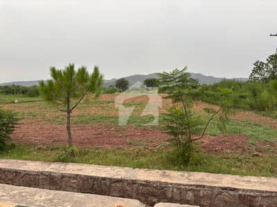 Prime Location, 8 KANAL, Sector "B"