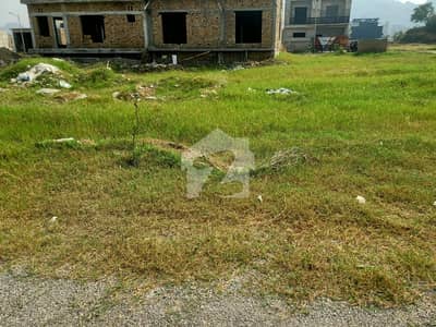 Investor rate 30*60, 8 Marla, A block Faisal Hills.