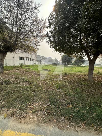 10 Marla Plot No-406 Block Z3 Top Location of Phase 8 ivy Green DHA Lahore For Urgent Sale