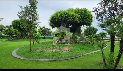 Facing Park Plot Is For Sale Facing Park Plot Is For Sale