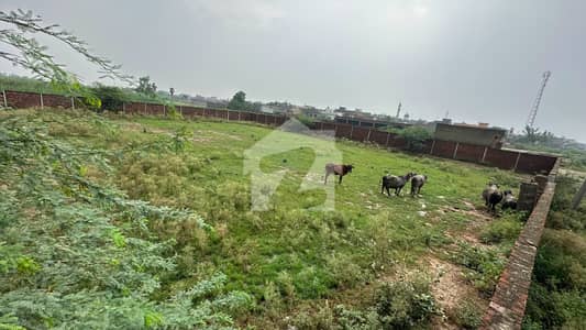 Urgent Sale Prime Agricultural Land Plot In Mauza Jia Bagga - High Capital Growth Potential