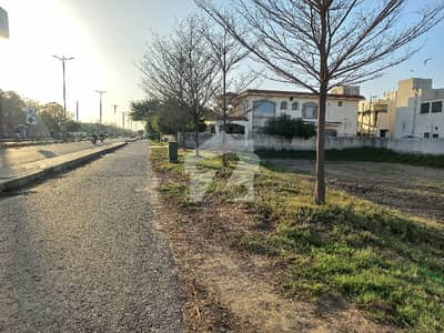 Prime Location At Investment Price Surrounded By House'S Prime Location At Investment Price Surrounded By House'S