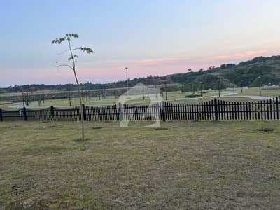 20 Marla Plot Available For Sale In DHA 3 Sctor D