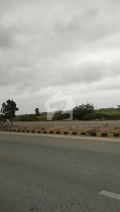 Partner With Us: In 400 Acres Prime Agricultural Land Offered For JV (Joint Venture Partnership.