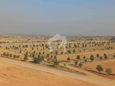 Prime Investment! 8 Marla Balloted Plot No. 23, Street 20, DHA Valley Sector Bluebell