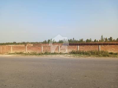 5.5 Kanal Private Commercial Land on Jia Baga Road Near Pine Avenue