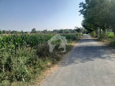12 kanal plot ideal for investment and built farm house too