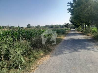 16 Kanal Corner Farmhouse land For Sale