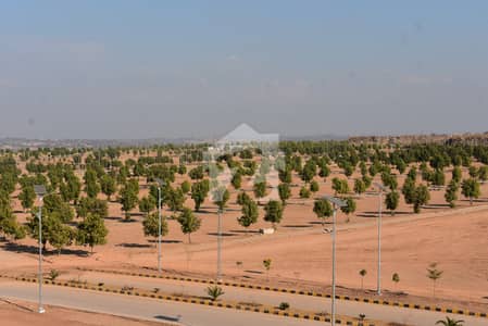 Bluebell 8 Marla Plot Top Location Solid Land 100% Level Street 17 plot . . . . . Bluebell 8 Marla Plot Top Location Solid Land 100% Level Street 17 plot . . . . .