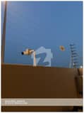 4 4