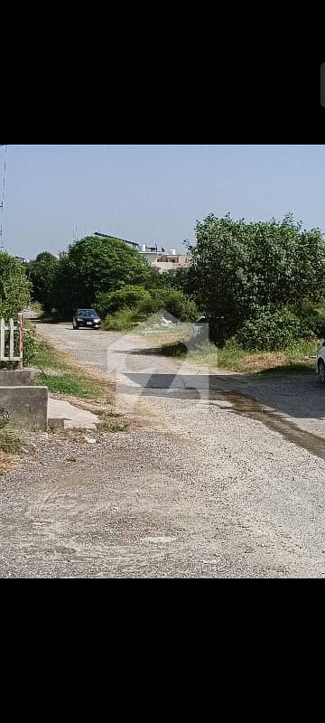 LEVEL PLOT FOR SALE. LEVEL PLOT FOR SALE.