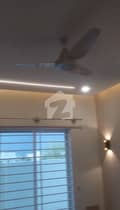 3 3