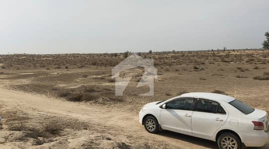 25 Acres Agricultural Land for Sale in Hasilpur, Punjab