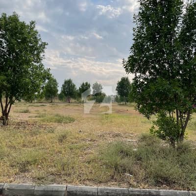 8 Marla Prime Location Plot Available For Sale Rose Sector, DHA Phase 7 (DHA Valley)