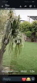 1 1
