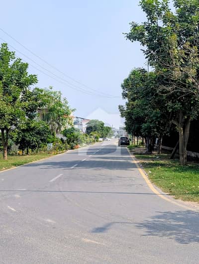 05 Marla Full Paid Plot Located Near School and Park Nearby 2nd Entrance from Multan Road Tulip Overseas Block Location