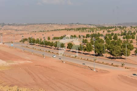 Hot Deal: Prime Location 8 Marla Ready Plot in DHA Valley Phase 7 Sector Rose