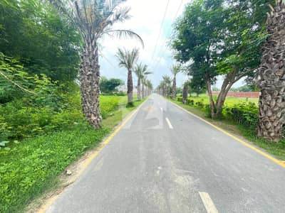 Pair of Plots for Sale in DHA 9 Prism M Block M-1228 & M-1229 Corner Non Corner