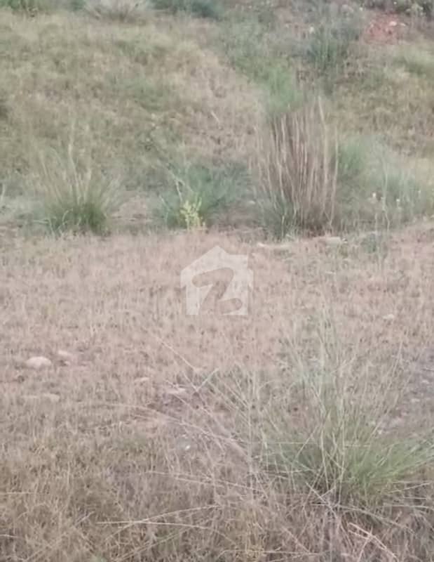 i-15/2 25x50 plot available for sale lavel height location i-15/2 25x50 plot available for sale lavel height location