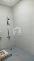 7 7