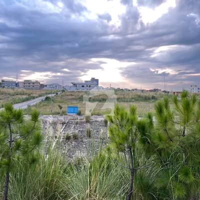 Prime Location 5 Marla Plot # 44 for Sale in Sector Daffodils, DHA Valley