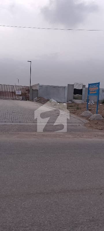 GANDHARA C. H. S SECTOR 21A