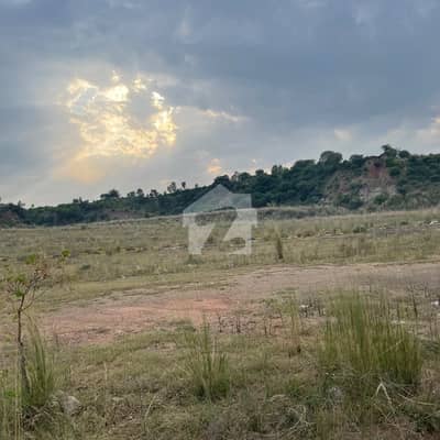 8 Marla Prime Location Plot For Sale In Sector Oleander, DHA Valley Islamabad | 1st Ballot (Home Consideration)