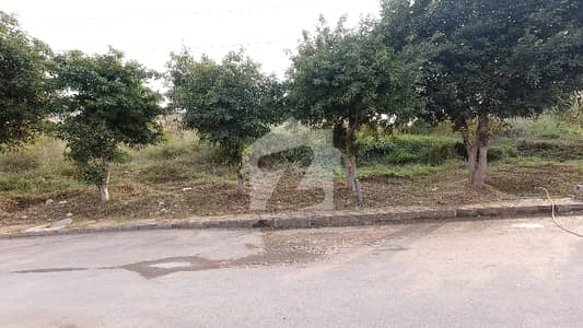 Prime Location 3 Kanal Residential Plot In Islamabad Is Available For sale Prime Location 3 Kanal Residential Plot In Islamabad Is Available For sale
