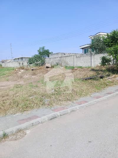 Premium 10 Marla South-Facing Solid Land Plot | Sector D, DHA Phase 2