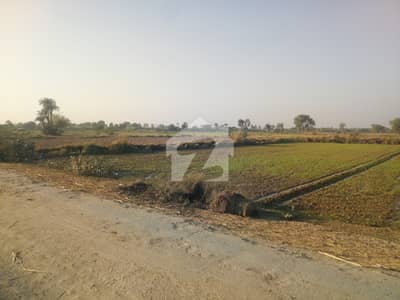 740 Marla Commercial Land for Sale on Jhang-Sargodha Road Near Peer Lakhi Shah Darbar, opposite Ganj Shakkar Sugar Mill & Steel Mill.
