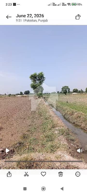 12 Actre agriculture land chak no 180 GB mongi bangla road best location fertile land
