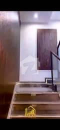 5 5