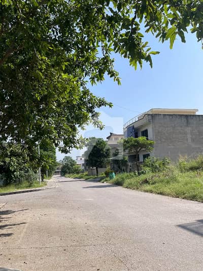 D17/2 MVHS Idial Location 1 Kanal Plot Available For Sale