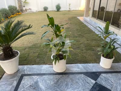 Ideal House For Good Return On Sale In E-7 Islamabad