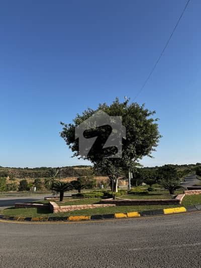 Highly Attractive Price Plot For Sale 100% Solid Land & Ideal Location