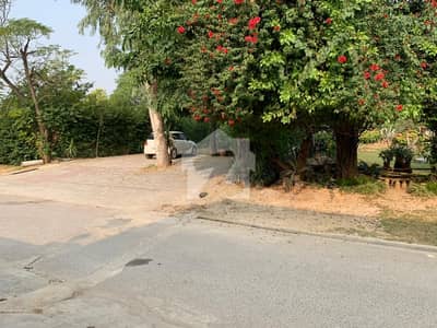 Idea Location Plot For Sale