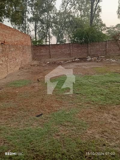 Farm For Sale On Main Firozpur Road, Ganda Singh, Kasur