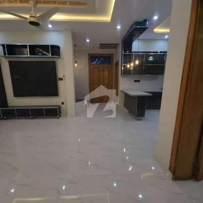 6 Marla new double story for rent