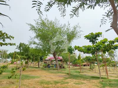 120 Sq Yard Plot At Vip Location