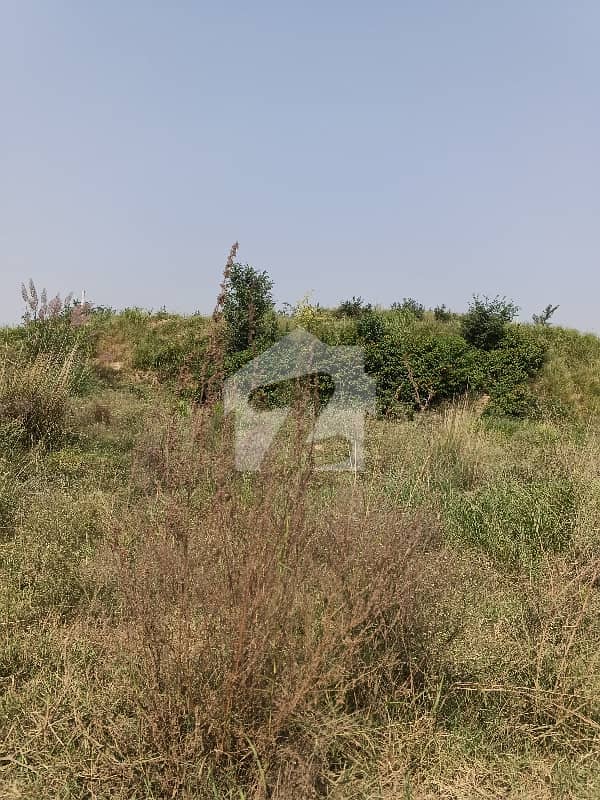 1 1