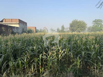 5 Kanal Land For Sale Sue-E-Asal Road, Watna Pind, Lahore