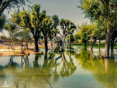 5 Acre Agricultural Land for Sale in Mouza Nigor Sharif, Gwadar | Ideal Investment & Farming Opportunity