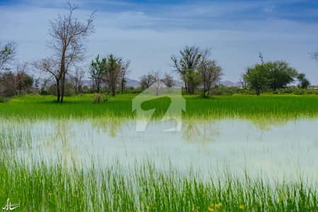 1 Acre Of Agriculture Land Is Available For Sale In Mouza Naland Gwadar