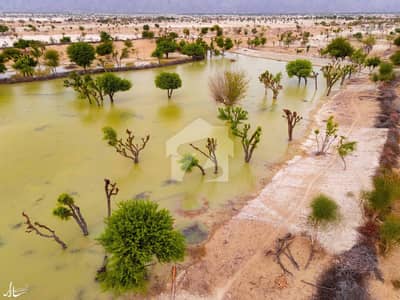 Agricultural Land For Sale Mouza Chebrekani
