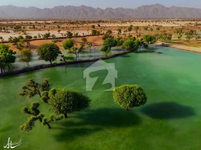 موضع شتانگی گوادر میں 8 کنال زرعی زمین 90.0 ہزار میں برائے فروخت۔